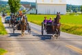 MultipleAmsih Buggies on Lancaster County Road Royalty Free Stock Photo