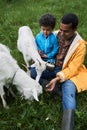 Multiracial father and his little son looking with interest at the two goats Royalty Free Stock Photo