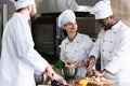 Multiracial team of cooks working together Royalty Free Stock Photo