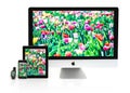 Multiscreen - Apple Watch, iPhone, iPad and iMac Royalty Free Stock Photo