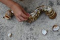 Multistage decorative caterpillar made of bivalve seashells on concrete beach molo, small girl hand adding final shells on to