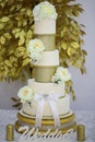 Multistage dessert wedding cake Royalty Free Stock Photo