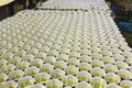 Multitude of aluminum cans on conveyor belt Royalty Free Stock Photo