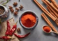 Multitude of aromatic spices such as cinnamon stick, paprika, star anise, cumin, pepper and others isolated on gray background. Royalty Free Stock Photo