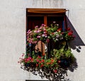 Flowers adorning a window in Paris