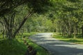 Multiuse asphalt trail through the green suburban park in Chiang Rai, Thailand.