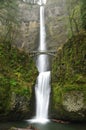 Multnomah falls at columbia river gorge