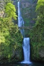 Multnomah Falls in the Columbia River Gorge East of Portland, Oregon, USA Royalty Free Stock Photo