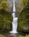 Multnomah Falls at Columbia River Gorge Oregon Royalty Free Stock Photo