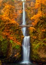 Multnomah Falls in the Columbia River Gorge of Oregon with beautiful fall colors. Royalty Free Stock Photo