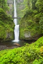 Multnomah Falls in the Columbia River Gorge, Oregon, USA Royalty Free Stock Photo