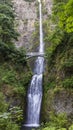 Multnomah Falls Full Length Royalty Free Stock Photo