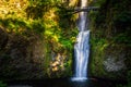 Multnomah Falls, Columbia River Gorge natural landmark, Oregon, USA Royalty Free Stock Photo