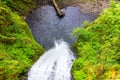 Multnomah Falls Looking Down Royalty Free Stock Photo