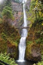 Multnomah Falls, Oregon Royalty Free Stock Photo