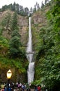 Multnomah Falls in Oregon