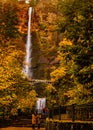 Multnomah Falls in Oregon