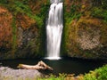 Multnomah falls portland USA