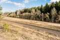 Multy-track railway in the forest turns the corner. Spring landscape with dry grass and a coniferous forest