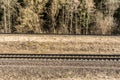 multy-track railway in the forest turns the corner. Spring landscape with dry grass and a coniferous forest