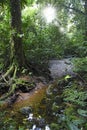 Mulu National Park