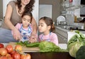 Mum and Daughter Chopping Veggies Royalty Free Stock Photo