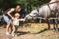 Mum with two-year child feed horse