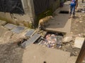 Open gutter sewer line in slum area of Mumbai, India.