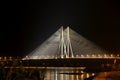 Mumbai Sea Link Royalty Free Stock Photo