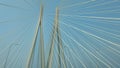 Mumbai sealink bridge architecture shots