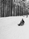 Winter day with snow and happy mother and doughter sleighing the