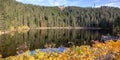 Mummelsee lake and mountain Hornisgrinde in Seebach in the Black Forest landscape nature autumn fall panorama in Germany Royalty Free Stock Photo