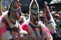 Mummer mask and costume