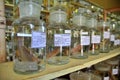 Mummified specimen of all kinds of fish and sea life in liquid are stored and showed to tourists at the Vietnam Institution of