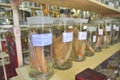 Mummified specimen of all kinds of fish and sea life in liquid are stored and showed to tourists at the Vietnam Institution of