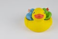 Mummy rubber duck carrying 2 baby rubber ducks Royalty Free Stock Photo