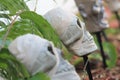 Halloween mummy head decoration