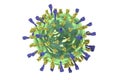 Mumps virus structure Royalty Free Stock Photo