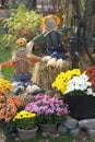 Mums and Scarecrows Royalty Free Stock Photo