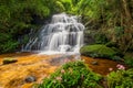 Mun-Dang's waterfall with antirrhinum flower