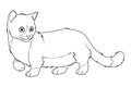 Munchkin Cat Cartoon Animal Illustration BW