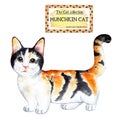 Munchkin cat. The cat collection. Watercolor illustration.