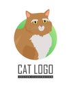 Munchkin cat Vector Flat Design Illustration