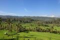 Munduk, Bali. Surrounded by dense jungle vegetation on all sides Royalty Free Stock Photo