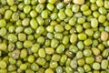 Mung bean