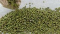 Mung bean in the foreground, Flat lay composition. Organic grains