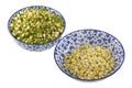 Mung Bean (Green gram) Sprouts Royalty Free Stock Photo