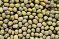 Mung bean known as green gram, maash, moong, monggo, or munggo plant species in legume family, cultivated in East Asia Royalty Free Stock Photo