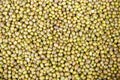Mung bean seeds Royalty Free Stock Photo