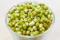 Mung bean sprouts Royalty Free Stock Photo